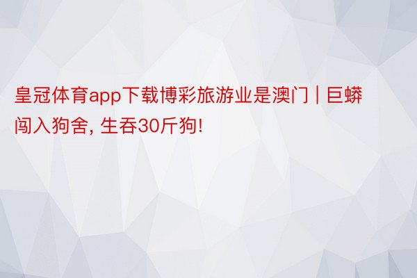 皇冠体育app下载博彩旅游业是澳门 | 巨蟒闯入狗舍, 生吞30斤狗!