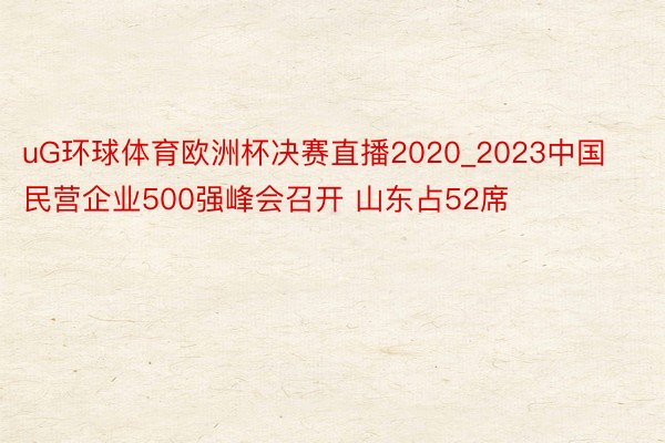 uG环球体育欧洲杯决赛直播2020_2023中国民营企业50