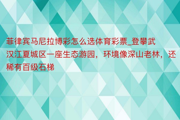 菲律宾马尼拉博彩怎么选体育彩票_登攀武汉江夏城区一座生态游园